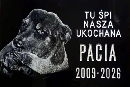 Tablica nagrobkowa Pacia