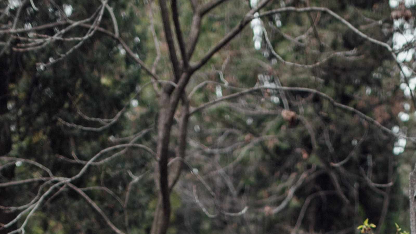 tablice nagrobkowe z plexi