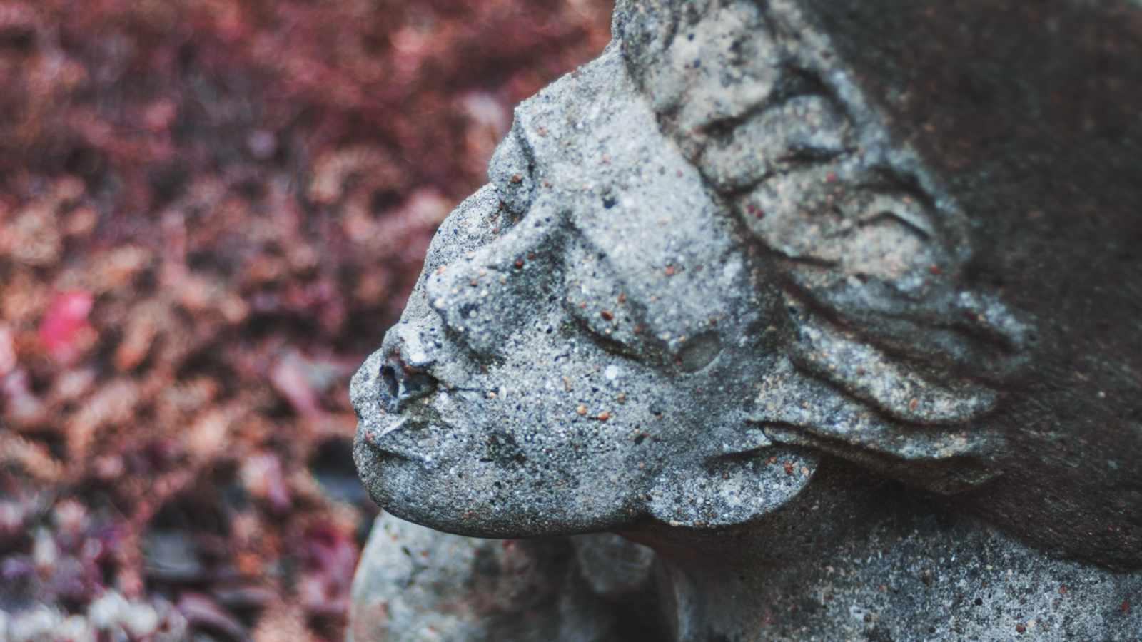 tablice nagrobkowe z plexi