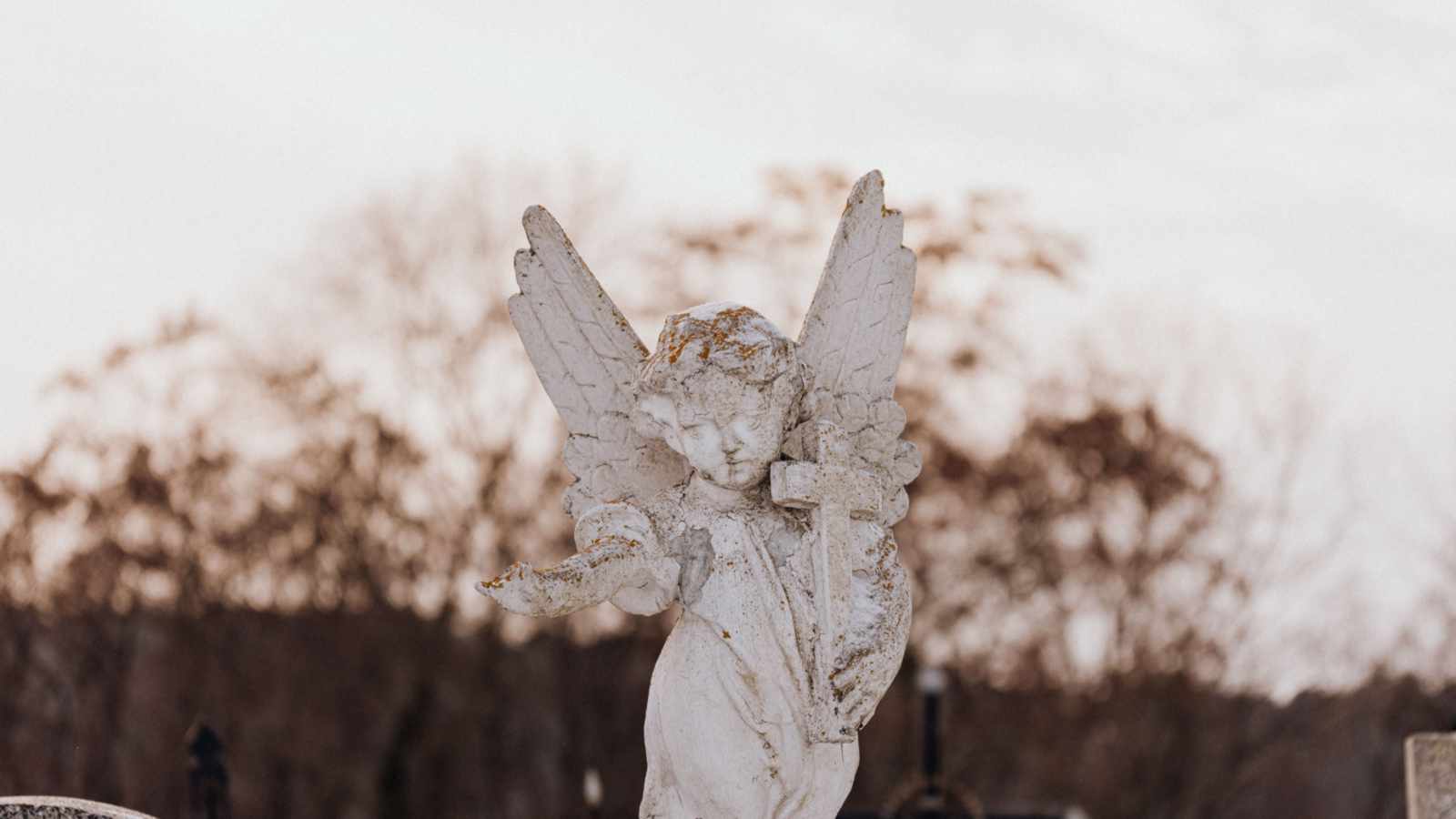 tablice nagrobkowe z plexi