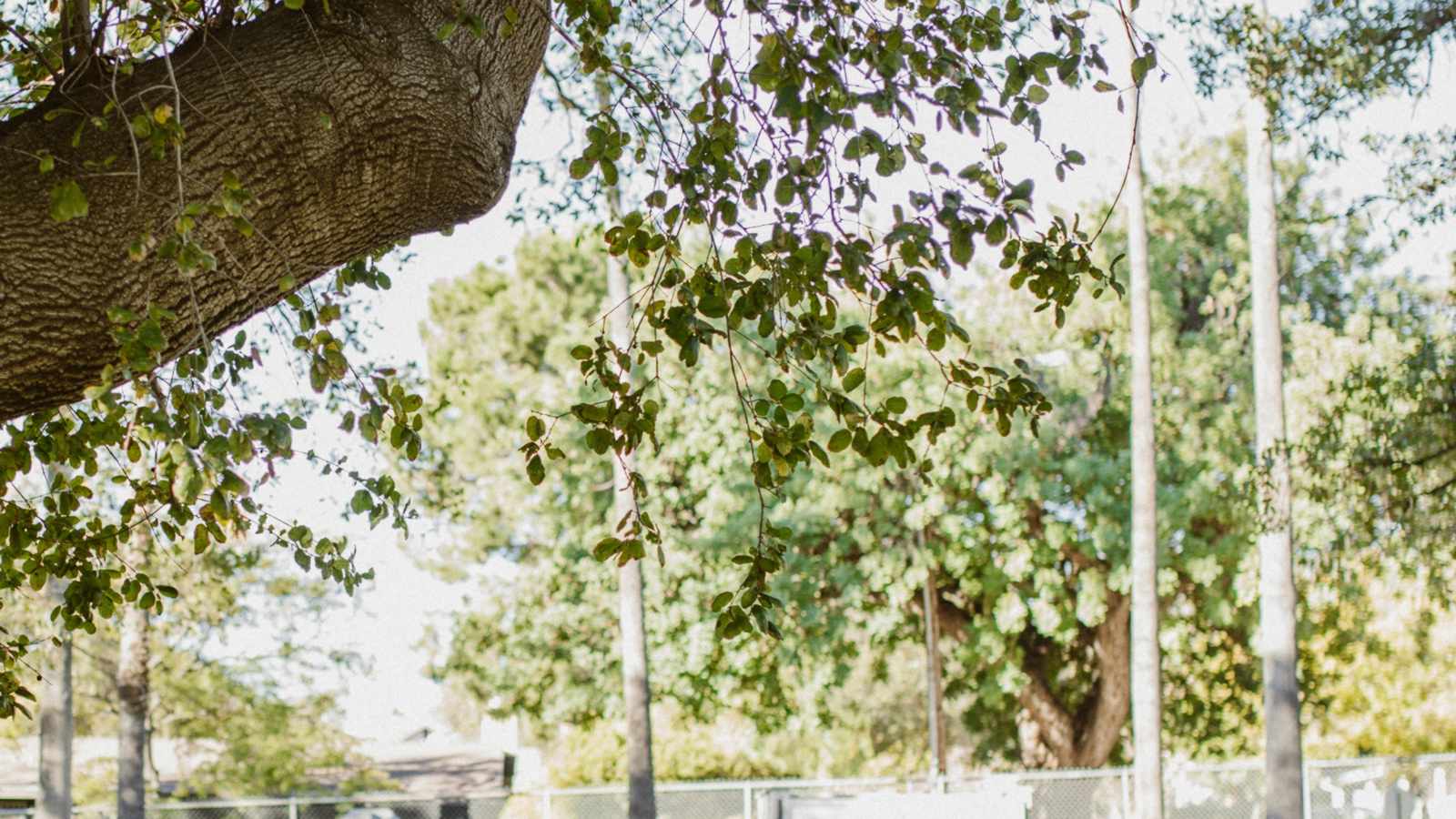 tablice nagrobkowe z plexi