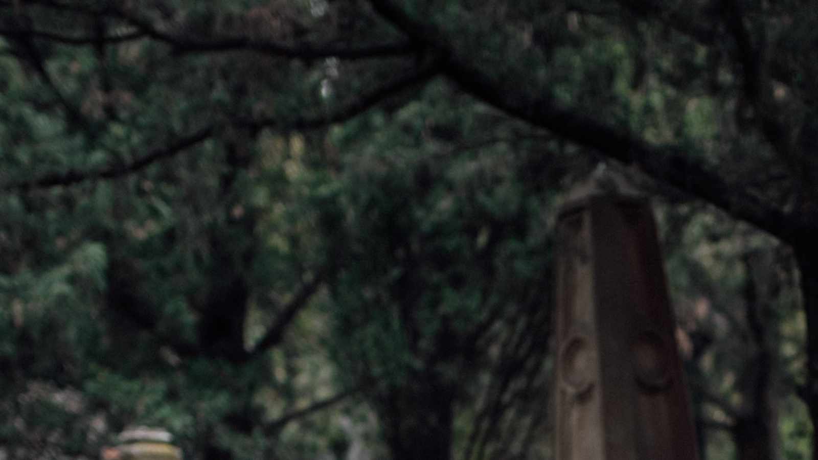 tablice nagrobkowe z plexi