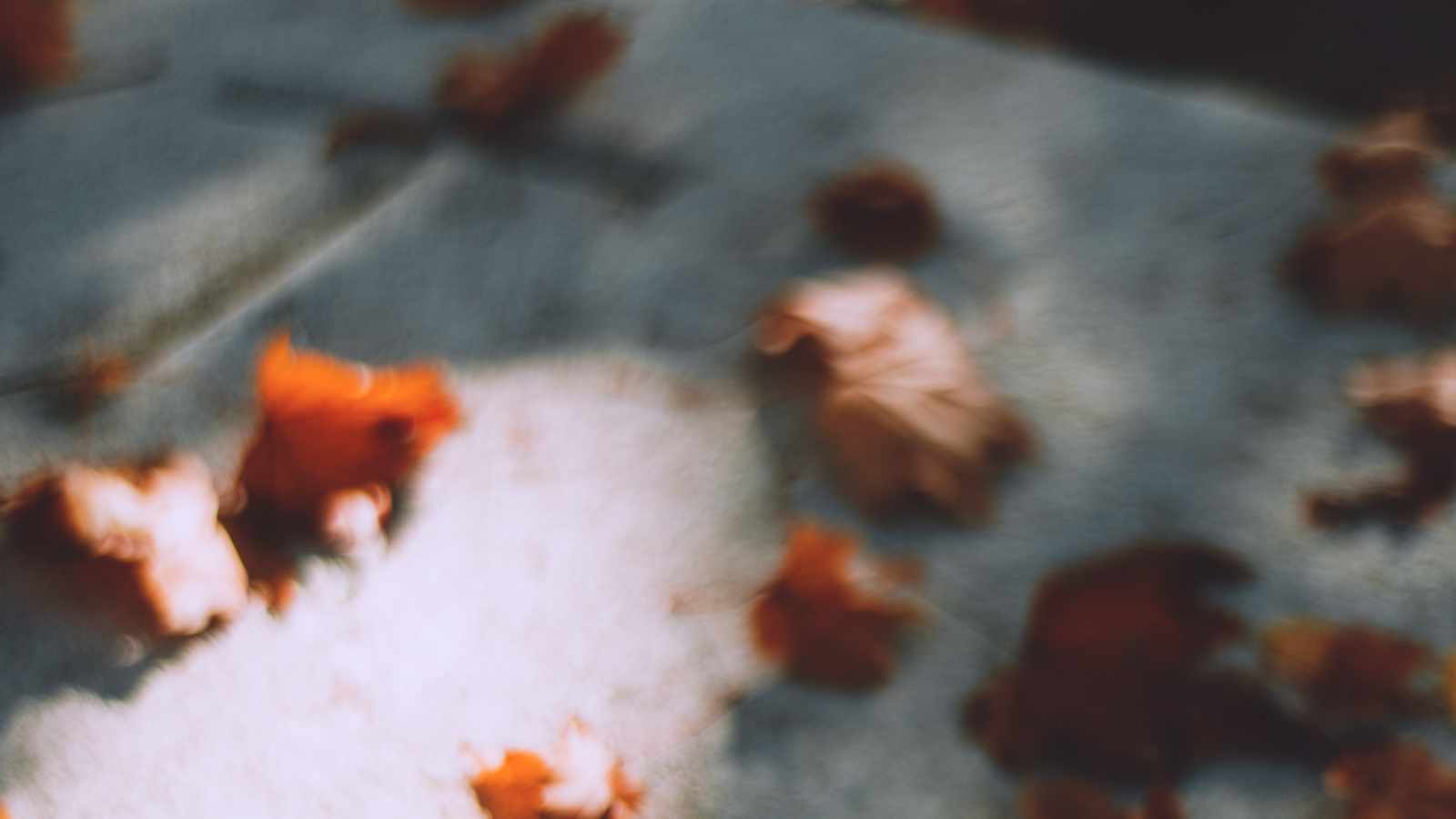 tablice nagrobkowe z plexi