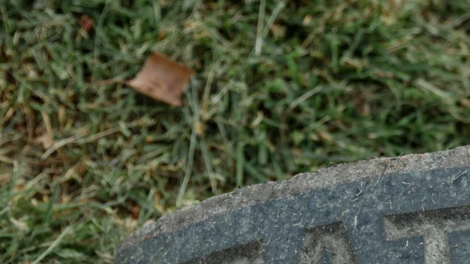 tablice nagrobkowe z plexi