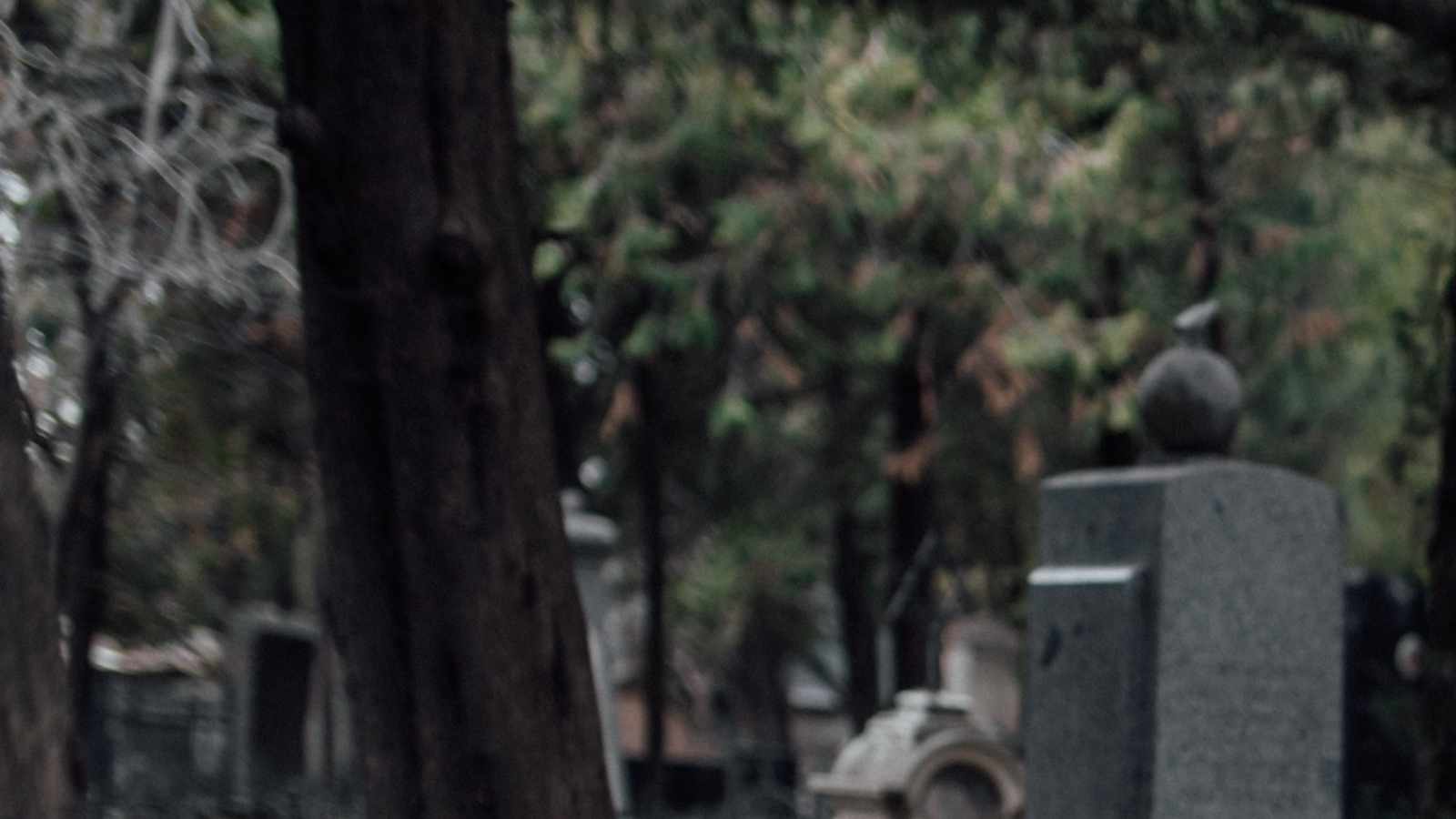 tablice nagrobkowe z plexi