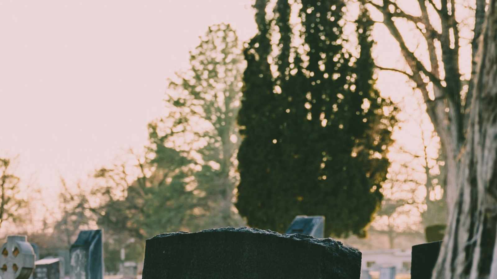 tablice nagrobkowe z plexi