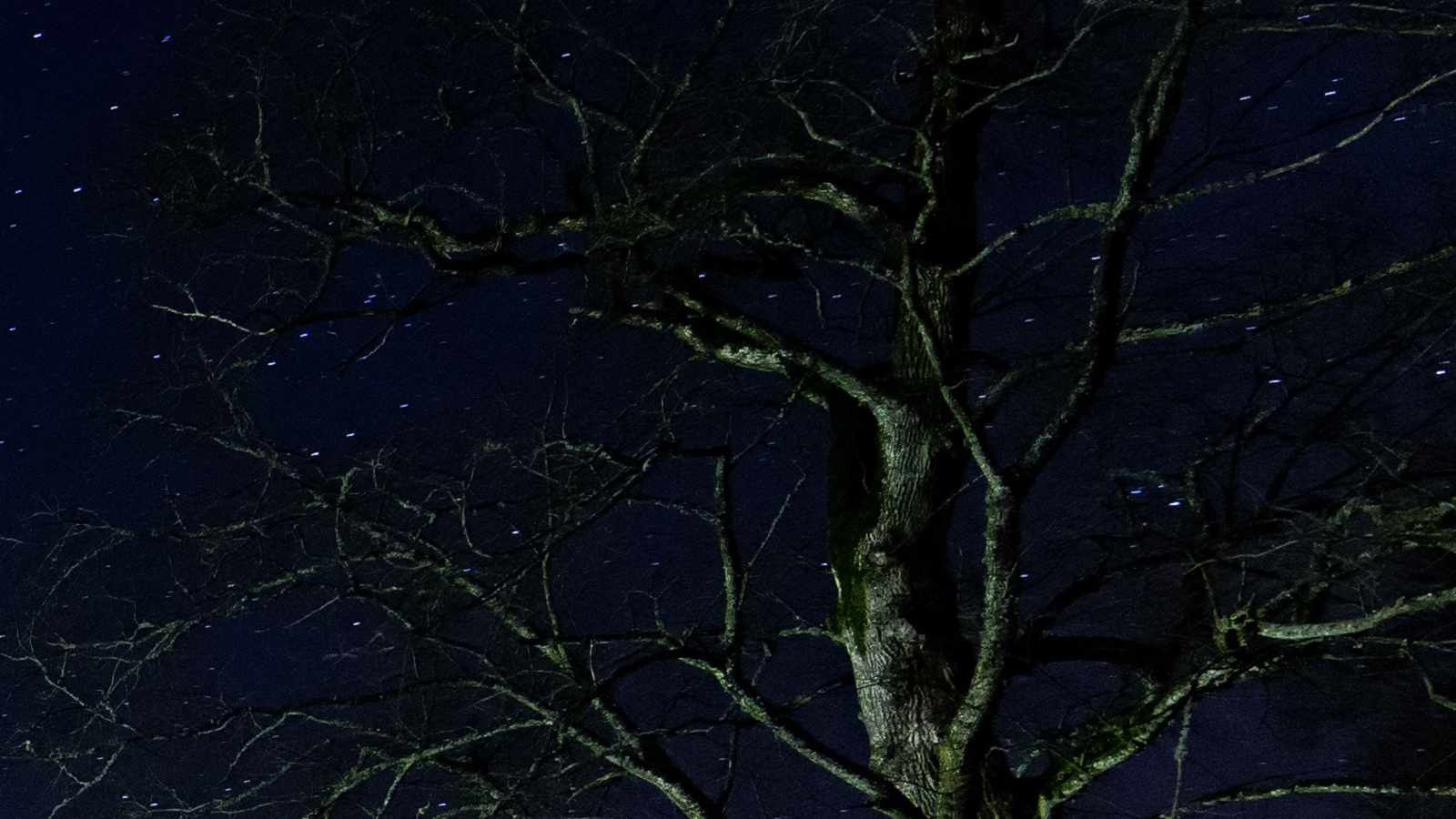 tablice nagrobkowe z plexi