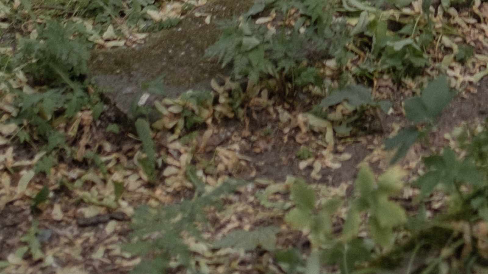 tablice nagrobkowe z plexi