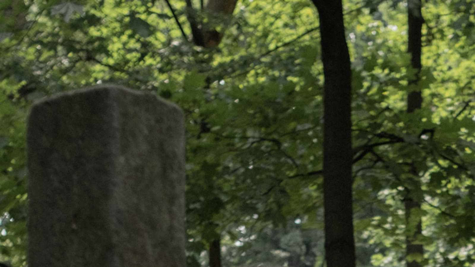 tablice nagrobkowe z plexi