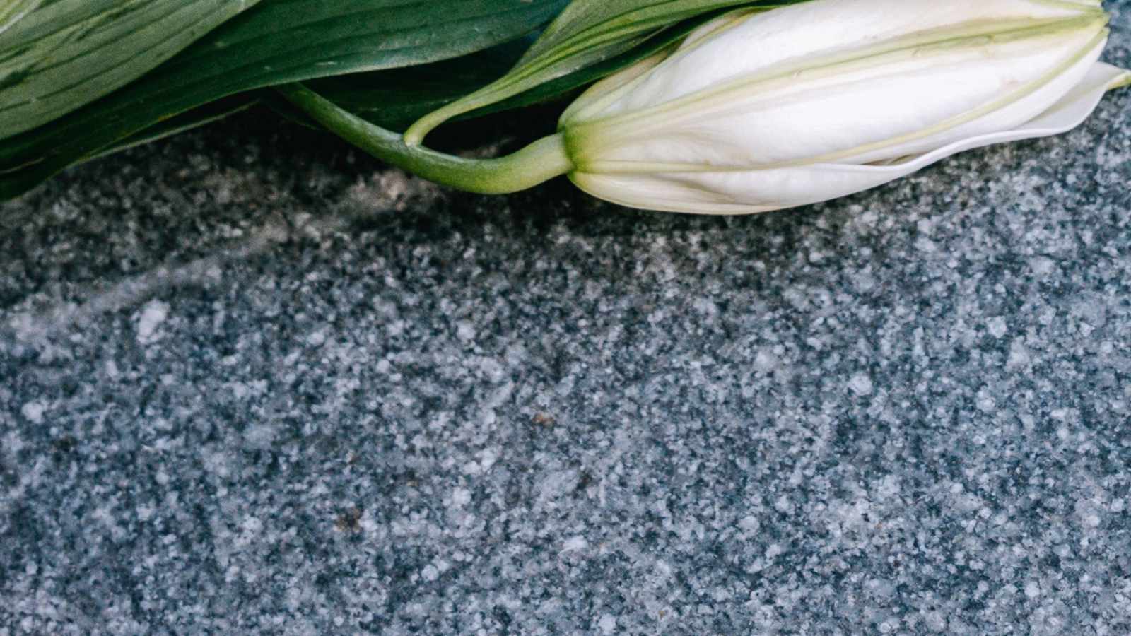 tablice nagrobkowe z plexi