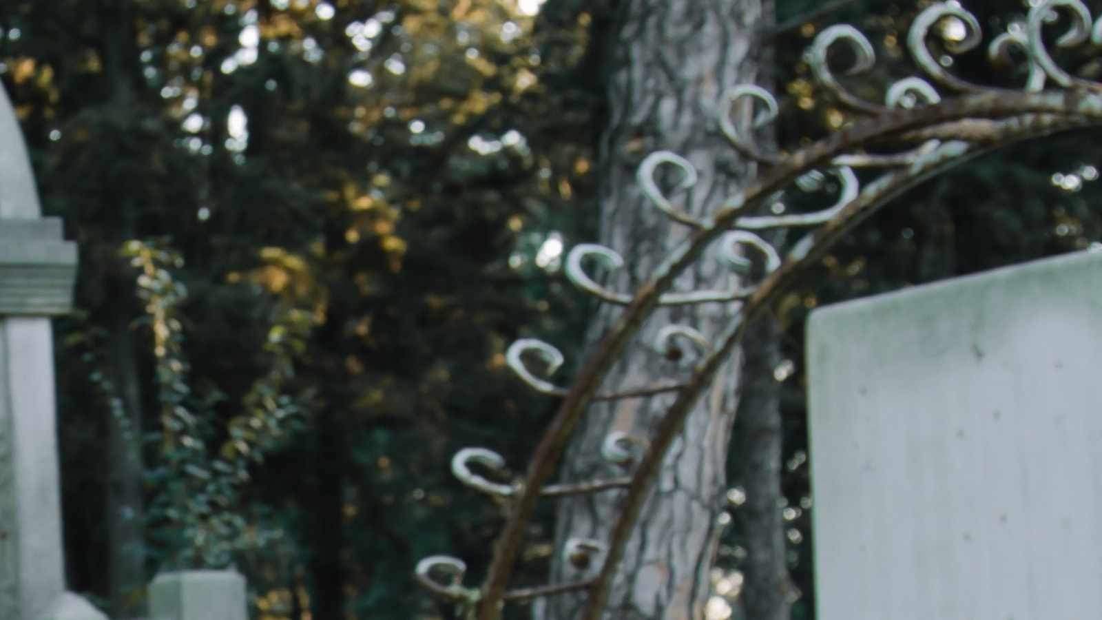 tablice nagrobkowe z plexi