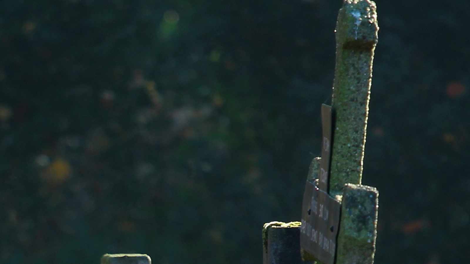 tablice nagrobkowe z plexi