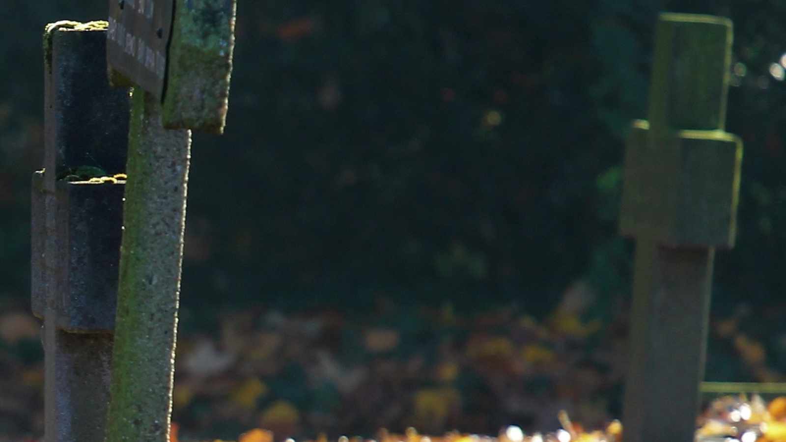 tablice nagrobkowe z plexi