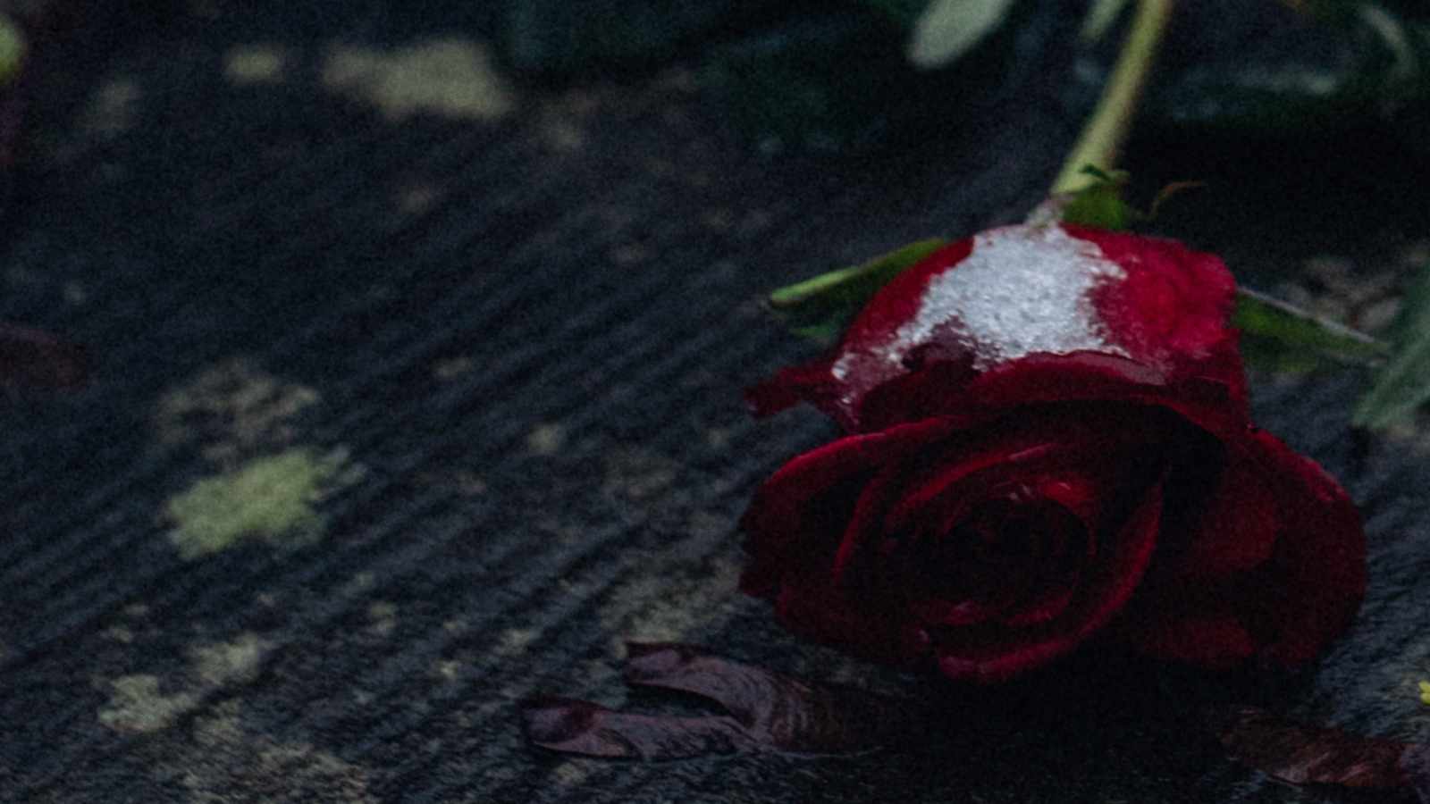 tablice nagrobkowe z plexi