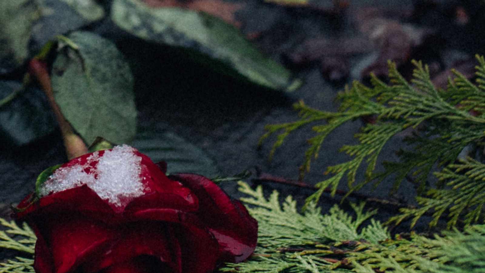 tablice nagrobkowe z plexi