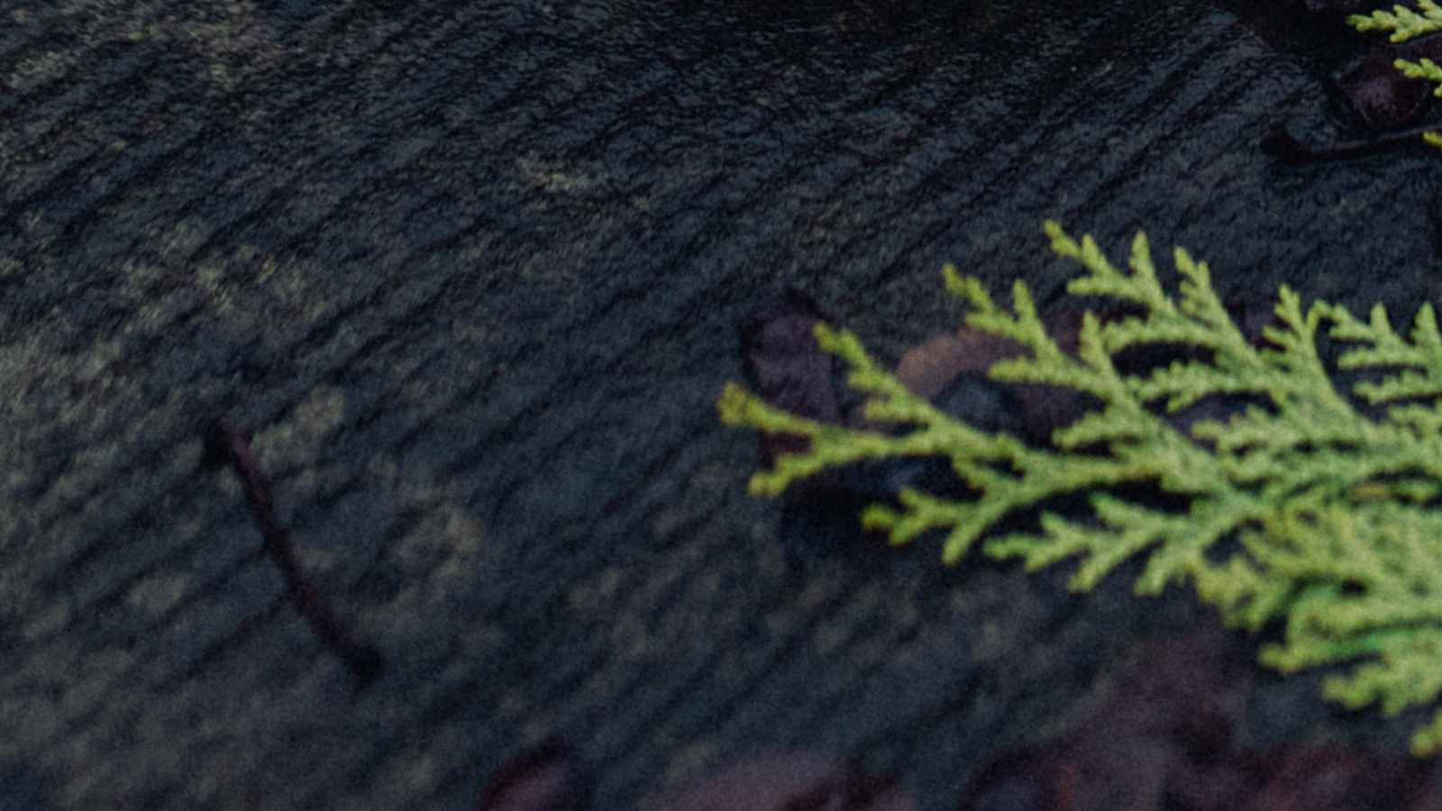 tablice nagrobkowe z plexi