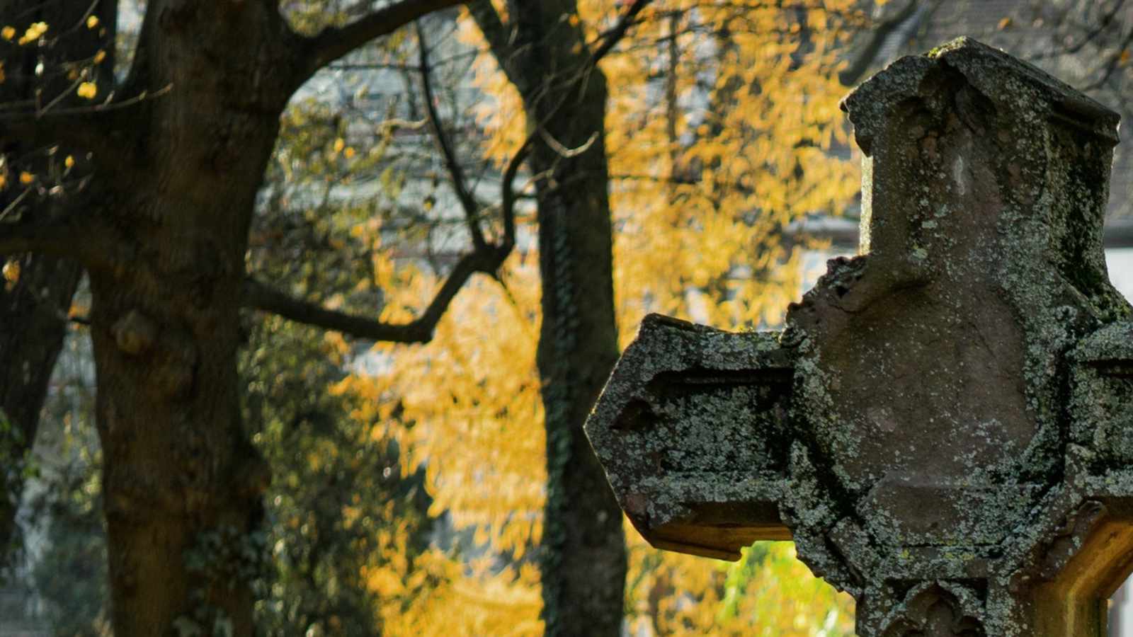 tablice nagrobkowe z plexi