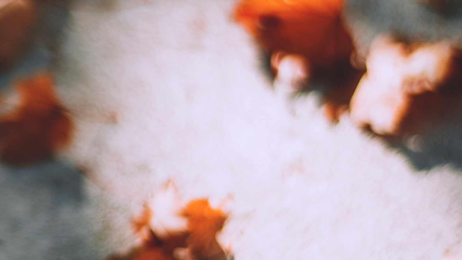 tablice nagrobkowe z plexi