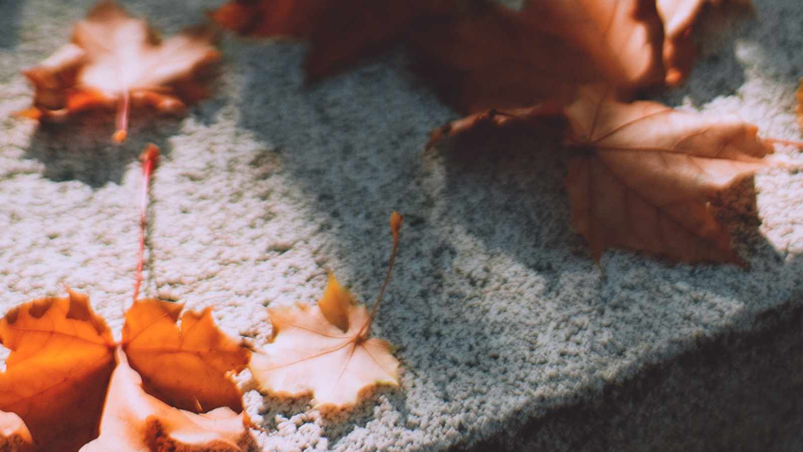 tablice nagrobkowe z plexi