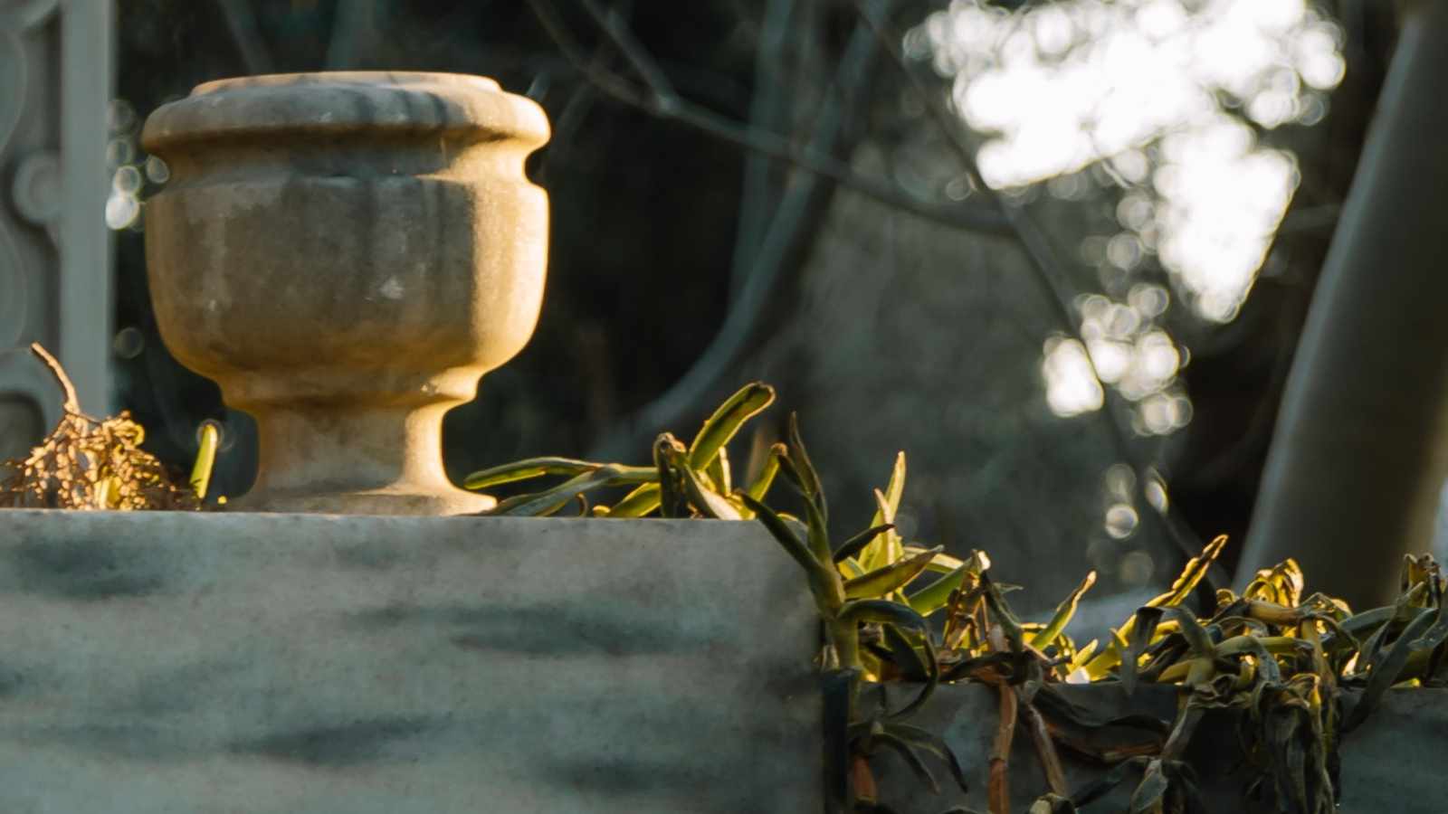 tablice nagrobkowe z plexi