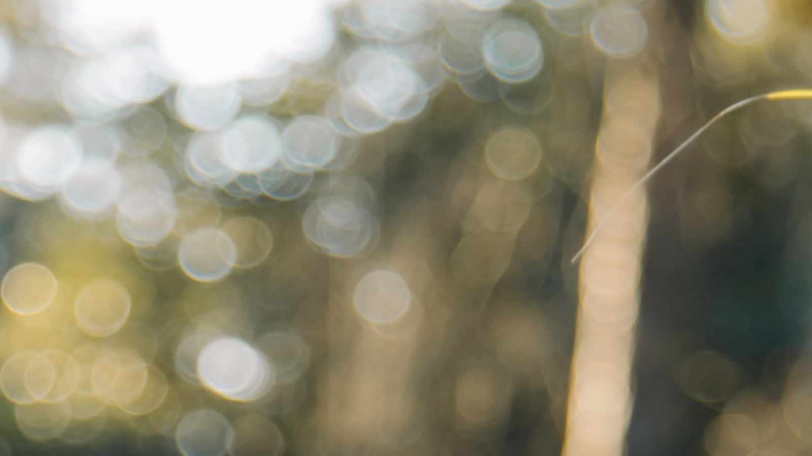 tablice nagrobkowe z plexi