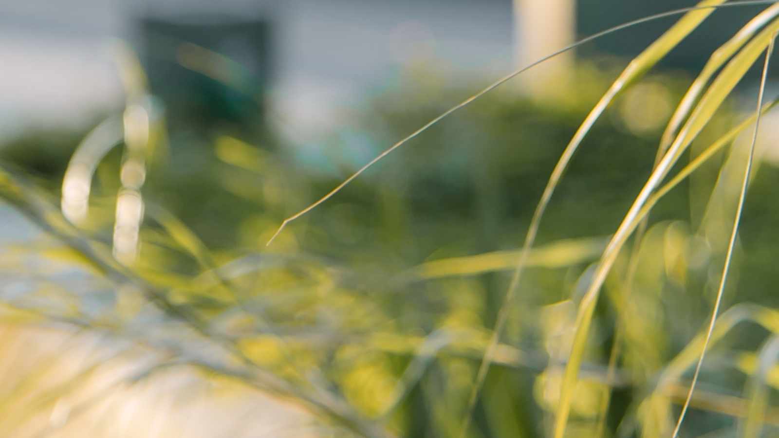 tablice nagrobkowe z plexi