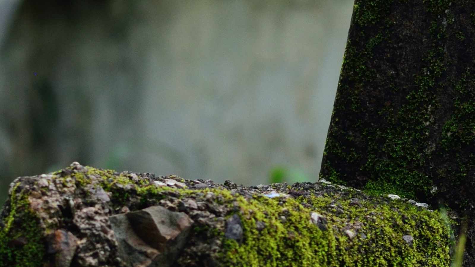 tablice nagrobkowe z plexi