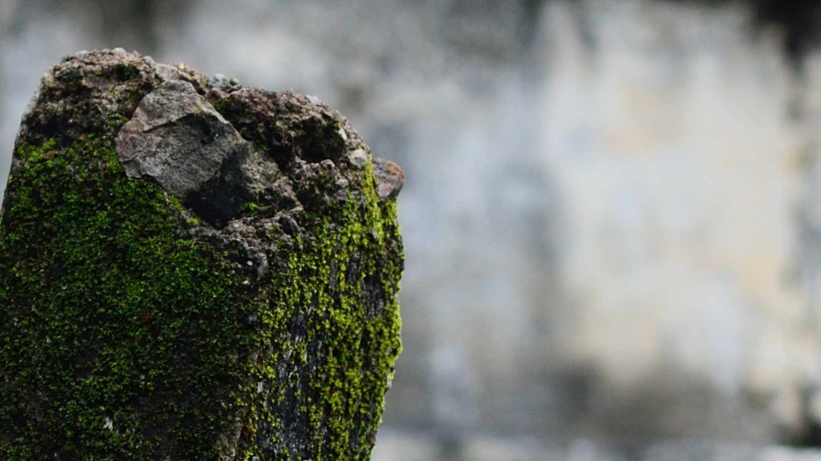 tablice nagrobkowe z plexi