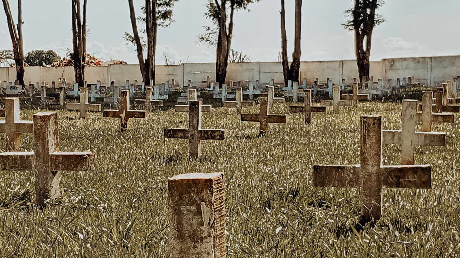 tablice nagrobkowe z plexi