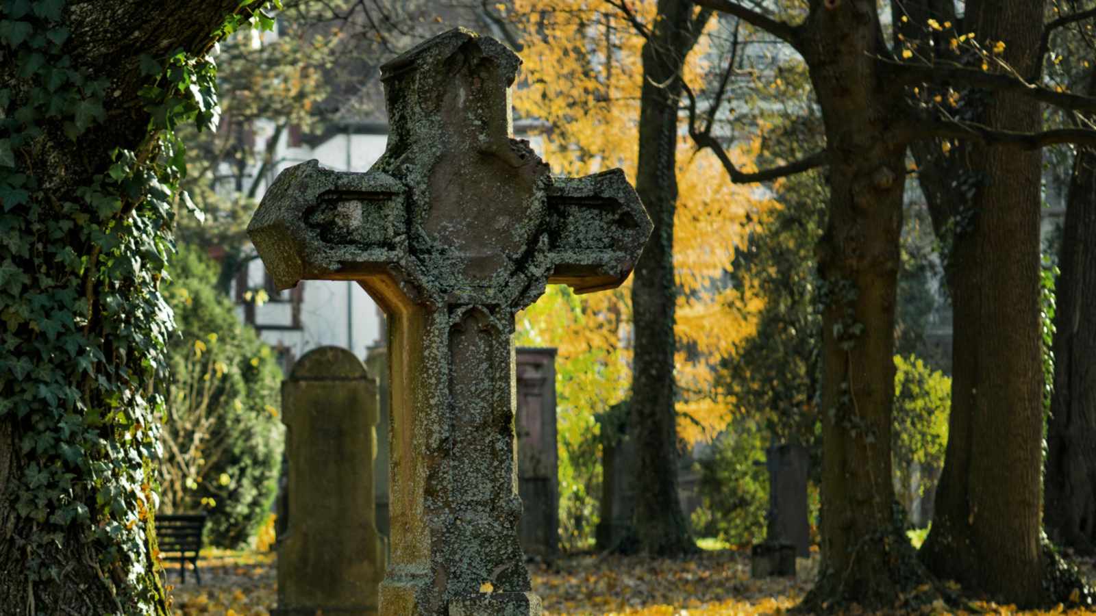 tablice nagrobkowe z plexi