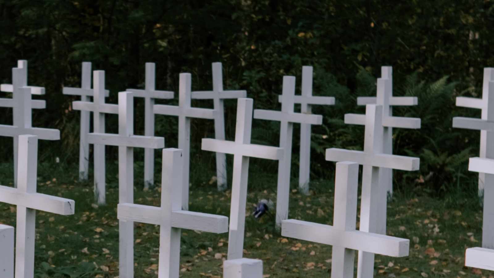 tablice nagrobkowe z plexi